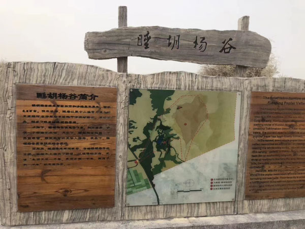 訴訟離婚需要準(zhǔn)備哪些材料？福田婚姻律師告訴你