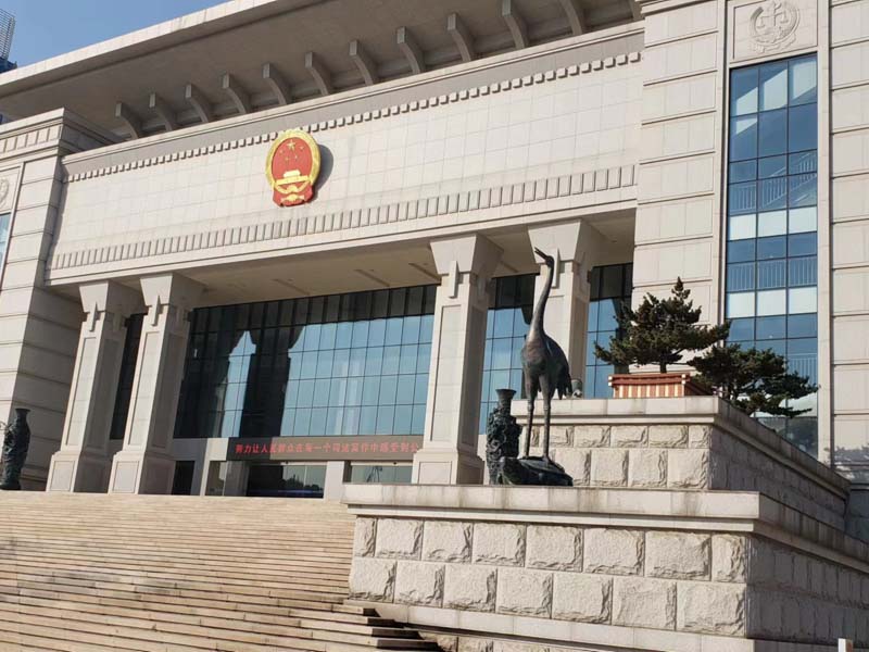 夫妻一方為無民事行為能力人如何提起離婚訴訟？深圳專業婚姻律師告訴您