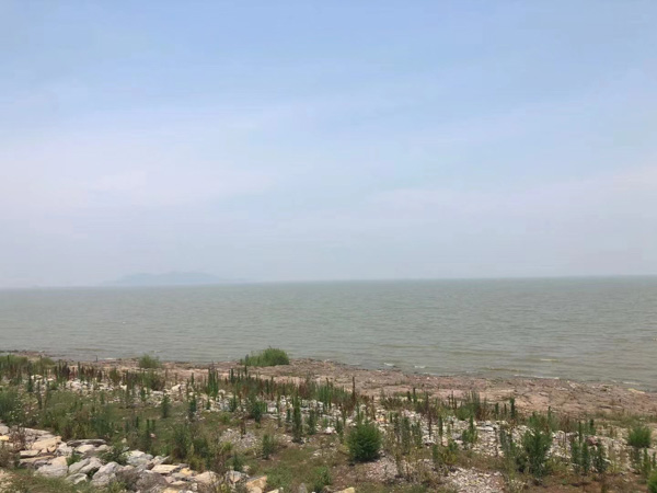 深圳婚姻律師:家暴中申請人的舉證責任情況