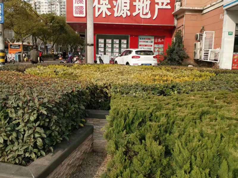 家庭暴力導致的離婚還需要冷靜期嗎？深圳婚姻離婚律師告訴您