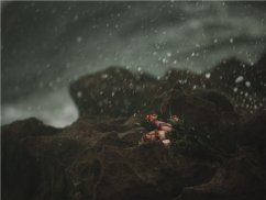 深圳華強北離婚律師